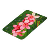 Roze Tropische Frangipani Kunst Magneet (Linkerzijde)
