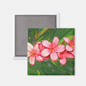 Roze Tropische Frangipani Kunst Magneet (Voorkant / Achterkant)