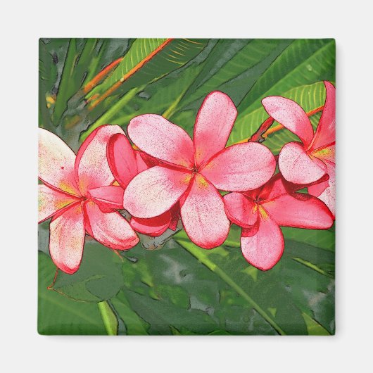 Roze Tropische Frangipani Kunst Magneet (Voorkant)