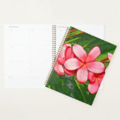 Roze Tropische Frangipani Kunst Planner (Display)
