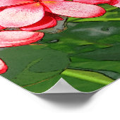 Roze Tropische Frangipani Kunst Poster (Hoek)