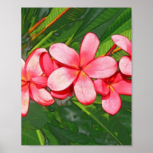 Roze Tropische Frangipani Kunst Poster (Voorkant)