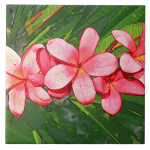 Roze Tropische Frangipani Kunst Tegeltje