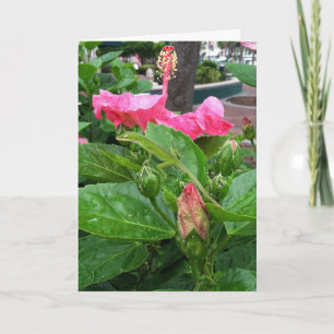 Roze Tropische Hibiscus Flower Camouflaged Lizard Kaart
