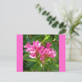 Roze Trumpet Flowers Briefkaart (Staand voorkant)