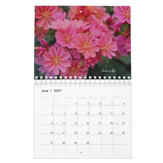 Roze tudenbloemen kalender (Jun 2027)