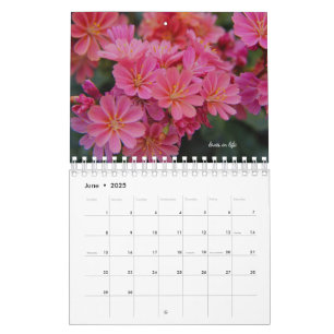 Roze tudenbloemen kalender
