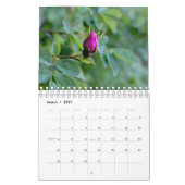 Roze tudenbloemen kalender (Mar 2027)