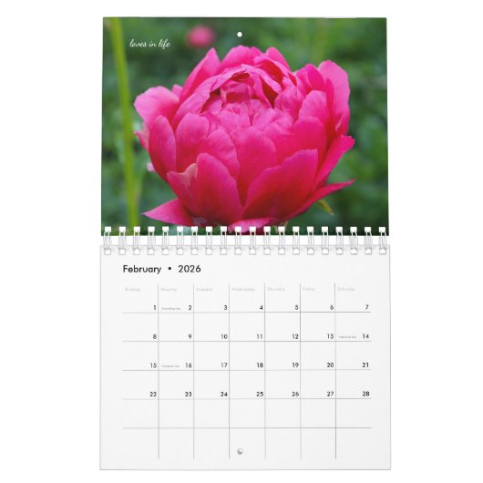 Roze tudenbloemen kalender (Feb 2026)