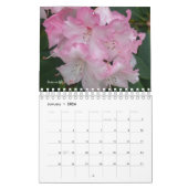 Roze tudenbloemen kalender (Jan 2026)