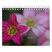 Roze tudenbloemen kalender (Hoes)
