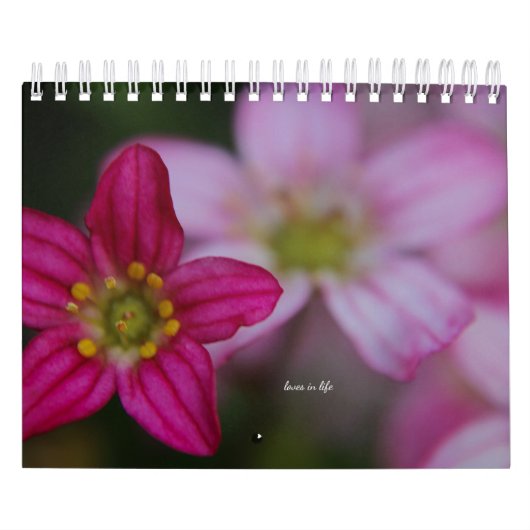 Roze tudenbloemen kalender (Hoes)