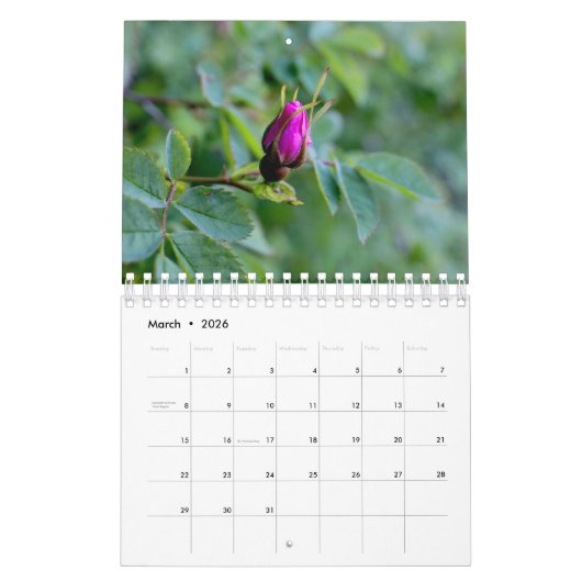 Roze tudenbloemen kalender (Mar 2026)