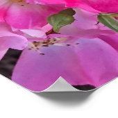 Roze Tuin Bloemen Foto Home Decor Poster (Hoek)