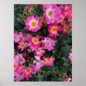 Roze Tuin Bloemen Foto Home Decor Poster (Voorkant)
