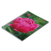  roze tuin pioen notitieboek (Linkerzijde)