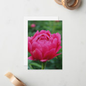 roze tuin pioen notitiekaartje (Voorkant / Achterkant in situ)