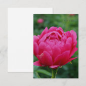 roze tuin pioen notitiekaartje (Voorkant / Achterkant)