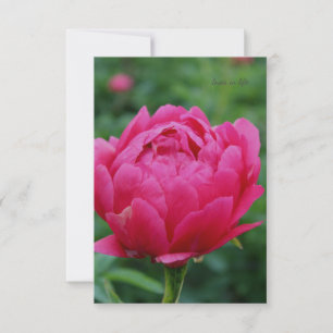 roze tuin pioen notitiekaartje