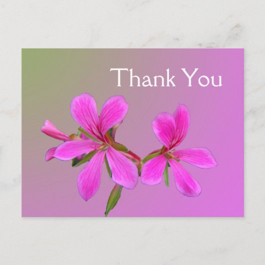 Roze tuinbloem bedankkaartjes. briefkaart (Voorkant)