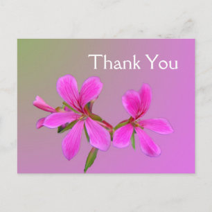 Roze tuinbloem dank u briefkaarten. briefkaart