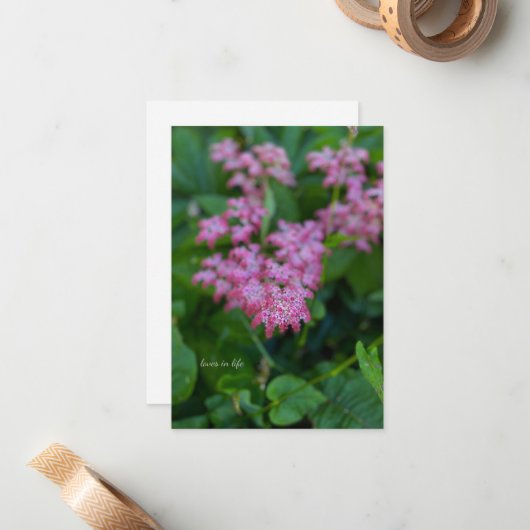  roze tuinbloem notitiekaartje (Voorkant / Achterkant in situ)