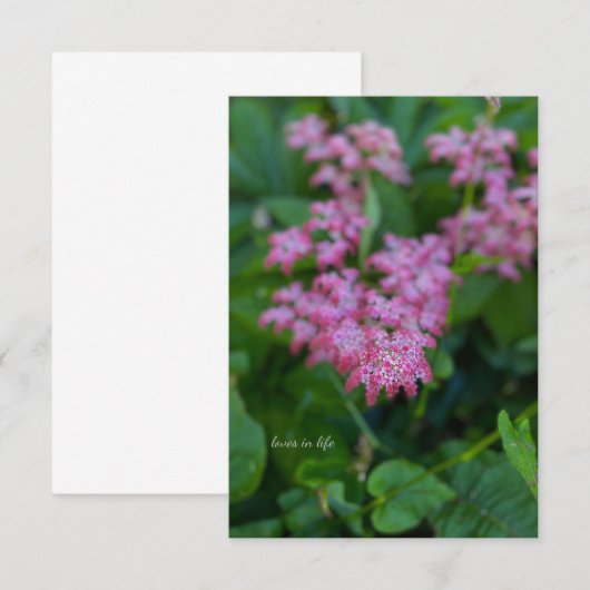  roze tuinbloem notitiekaartje (Voorkant / Achterkant)