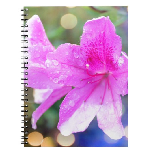  roze tuinbloemen. Floral botanische foto Notitieboek (Voorkant)