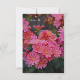 roze tuinbloemen notitiekaartje