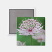 Roze Tuinmagneet Magneet (Voorkant / Achterkant)