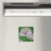 Roze Tuinmagneet Magneet (Insitu (Vaatwasser))