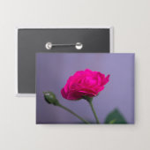 Roze Tuinroos Button (Voorkant / Achterkant)