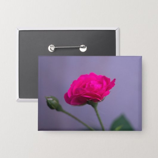 Roze Tuinroos Button (Voorkant / Achterkant)