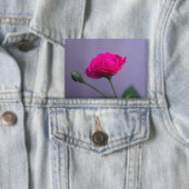 Roze Tuinroos Button (Insitu)