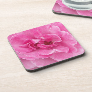 Roze Tuinroos Onderzetter