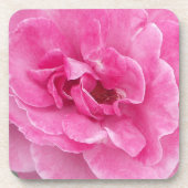 Roze Tuinroos Onderzetter (Voorkant)