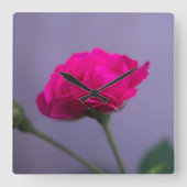 Roze Tuinroos Vierkante Klok (Voorkant)