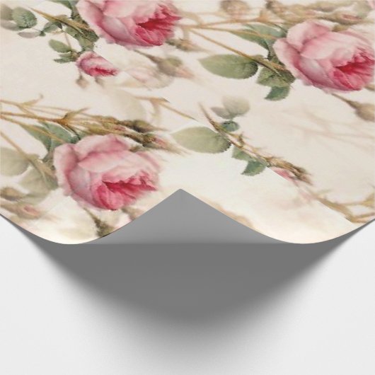 Roze  tuinRozen Cadeaupapier (Hoek)