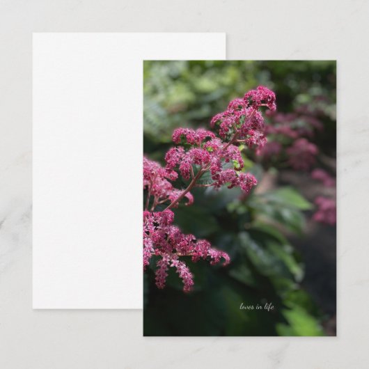 Roze tuinventilator notitiekaartje (Voorkant / Achterkant)