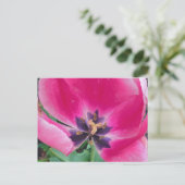 Roze Tulip Briefkaart (Staand voorkant)