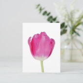 Roze Tulip Briefkaart (Staand voorkant)