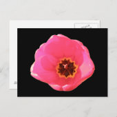 Roze Tulip Briefkaart (Voorkant / Achterkant)