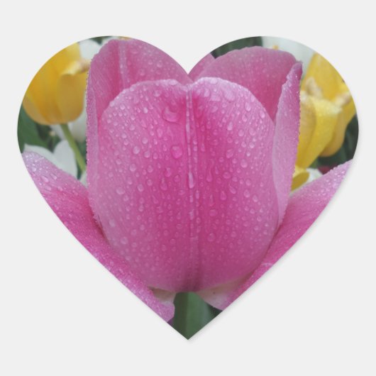 Roze Tulip Flower Heart Sticker (Voorkant)