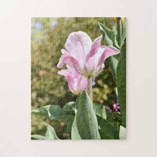 Roze Tulip Flower Natuur Photography London UK Legpuzzel