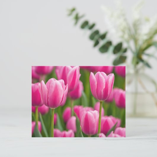 Roze Tulip Flowers Briefkaart (Staand voorkant)