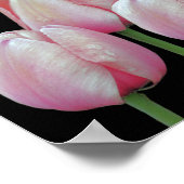 Roze Tulip Flowers Poster (Hoek)