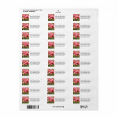 Roze Tulip Garden Floral Return Address Etiket (Full Sheet)