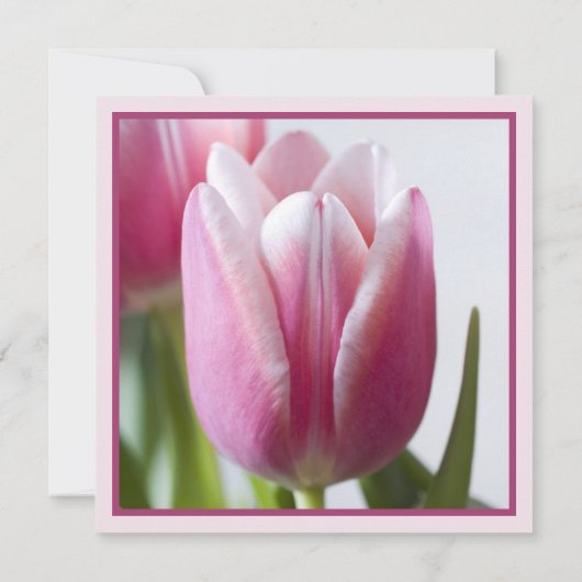 Roze Tulip Jubileum Uitnodiging (Achterkant)
