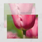 Roze Tulip Macro DSC0852 Kaart (Voorkant / Achterkant)