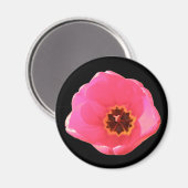 Roze Tulip Magnet (Voorkant / Achterkant)